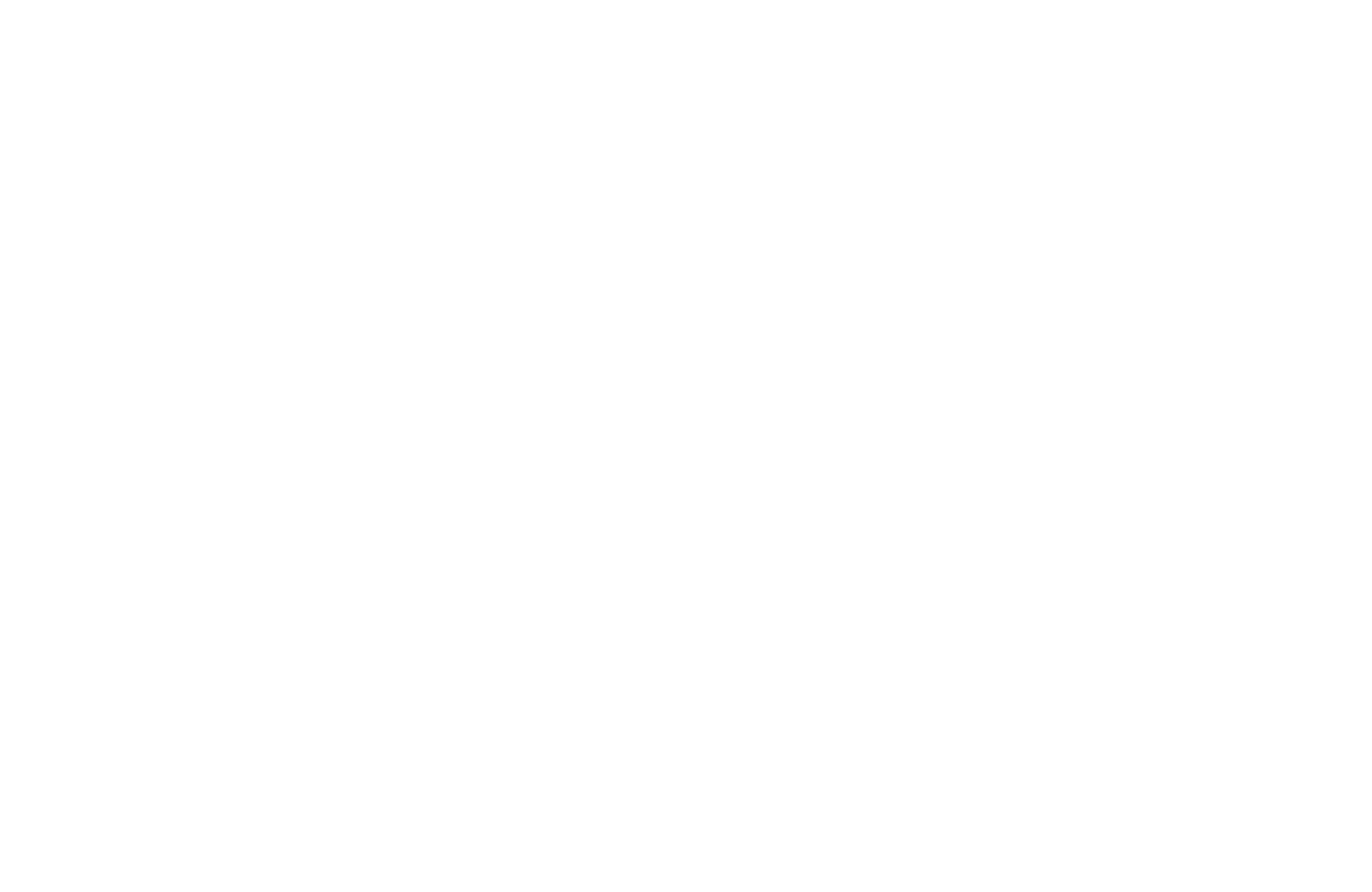 Elevation Wealth Management